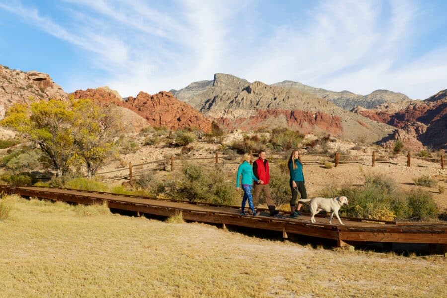 Dog walkers at Calico Basin