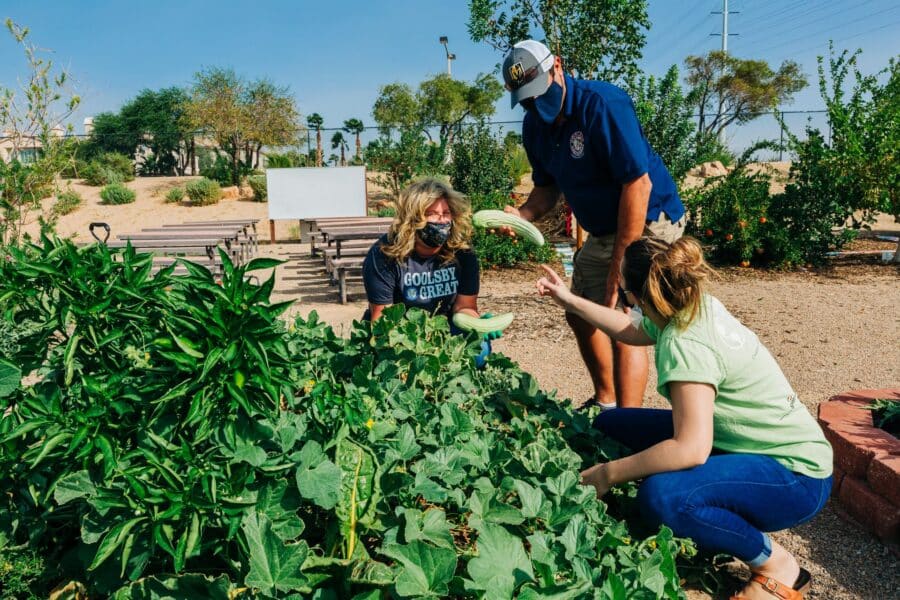 Elementary garden in Summerlin, Nevada